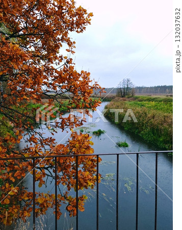 Autumn Landscape in a field with a river and trees with yellow leaves in rain. Autumn Bridge Autumn Landscape in a field with a river and trees with yellow leaves in rain. Autumn Bridge 132037632