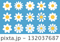 Set of simple white daisy flower head in flat cartoon style. 132037687