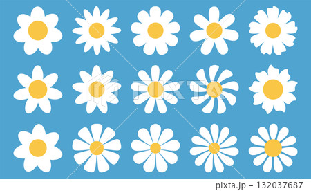 Set of simple white daisy flower head in flat cartoon style. 132037687