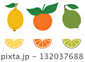 Set of citrus fruits like lemon, lime, orange with leaves and wedges in flat cartoon style. 132037688