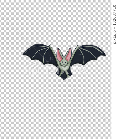 A digital PNG image featuring Halloween, Magic, and Day of the Dead. bat A digital PNG image featuring Halloween, Magic, and Day of the Dead. bat 132037710