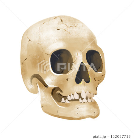 A digital PNG image featuring Halloween, Magic, and Day of the Dead. scull A digital PNG image featuring Halloween, Magic, and Day of the Dead. scull 132037715