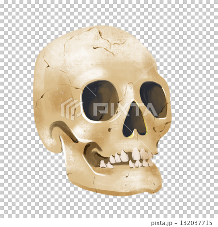 A digital PNG image featuring Halloween, Magic, and Day of the Dead. scull 132037715