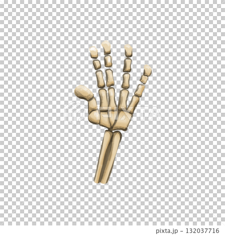 A digital PNG image featuring Halloween, Magic, and Day of the Dead. skeleton hand A digital PNG image featuring Halloween, Magic, and Day of the Dead. skeleton hand 132037716