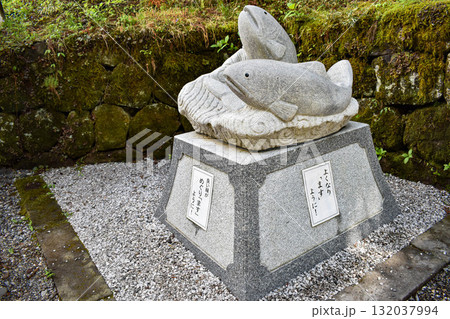 【栃木】日光東照宮 苔の生えた石灯籠 【栃木】日光東照宮 苔の生えた石灯籠 132037994
