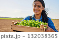 A smiling Hispanic female farmer carries a wooden crate of fresh green seedlings. Young woman planting crops in a sunny agricultural field. Sustainable farming and organic growth concept A smiling Hispanic female farmer carries a wooden crate of fresh green seedlings. Young woman planting crops in a sunny agricultural field. Sustainable farming and organic growth concept 132038365