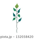 Clean vector illustration of slender vine with stylized green leaf and flowing line on white. Perfect for eco branding, packaging, web, logo, pattern, sticker and card. Vector flat illustration. 132038420