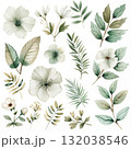 Botanical floral collection with soft pastel flowers and leaves 132038546