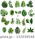 Collection of green leaves isolated on white background 132038548