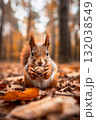 Cute squirrel holding a nut in autumn forest 132038549