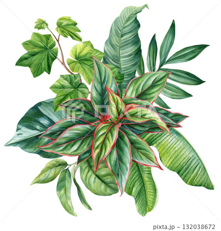 Tropical Green Leaves Composition Botanical Watercolor Illustration Exotic Plants Foliage Decorative Nature Design Tropical Green Leaves Composition Botanical Watercolor Illustration Exotic Plants Foliage Decorative Nature Design 132038672