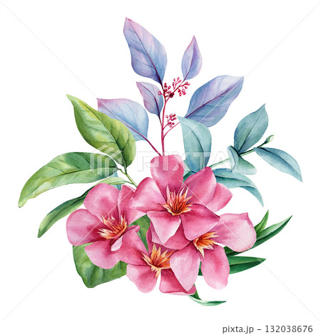 Watercolor Pink Flowers with Blue and Green Leaves Botanical Exotic Floral Illustration Elegant Bloom Composition for Print 132038676