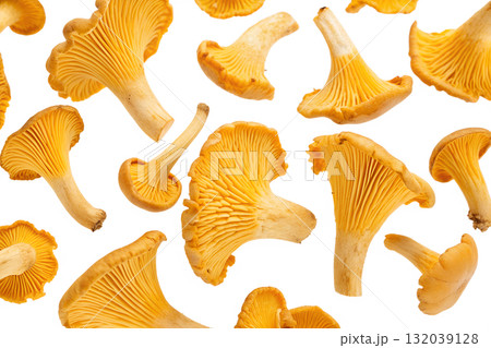 Assortment of fresh yellow chanterelle mushrooms scattered randomly, autumn harvest ingredient isolated on transparent background 132039128