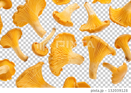 Assortment of fresh yellow chanterelle mushrooms scattered randomly, autumn harvest ingredient isolated on transparent background 132039128