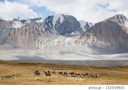 Herd of camels crossing the Altai Tavan Bogd National Park, Mongolia 132039601