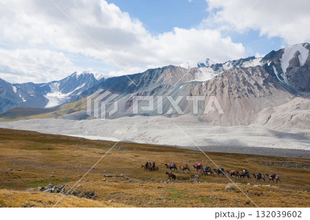 Herd of camels crossing the Altai Tavan Bogd National Park, Mongolia Herd of camels crossing the Altai Tavan Bogd National Park, Mongolia 132039602