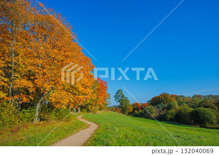 A Stunning Autumn Landscape Featuring Vibrant Trees, Bright Colors, and a Clear Blue Sky A Stunning Autumn Landscape Featuring Vibrant Trees, Bright Colors, and a Clear Blue Sky 132040069