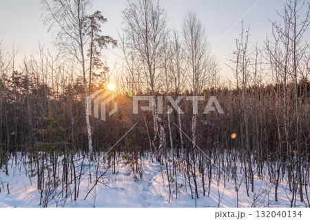 Landscape with winter forest and bright sunbeams. 132040134