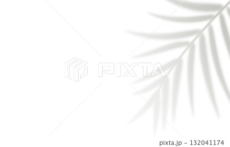 Realistic tropical palm leaf shadow isolated on white background 132041174