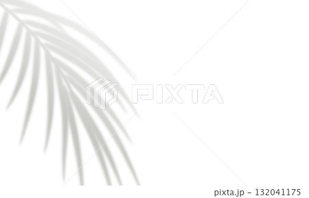 Realistic gray blurred shadows of tropical palm leaves 132041175