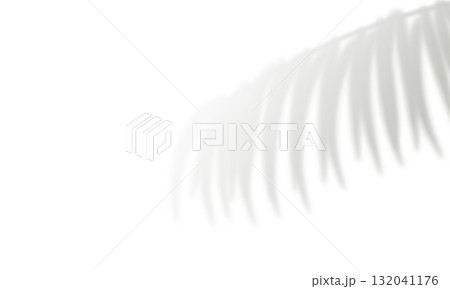 Realistic palm leaf shadow. Gray blurred shadows of plant foliage 132041176