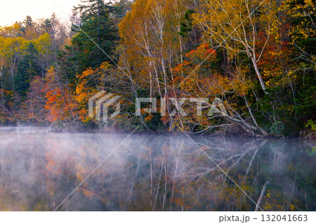 オンネトーの紅葉 オンネトーの紅葉 132041663