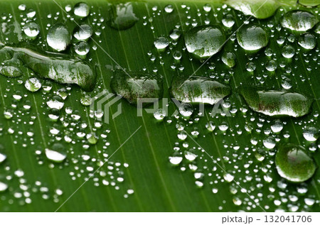 葉っぱの上の水滴　バナナ　グラフィック素材 132041706