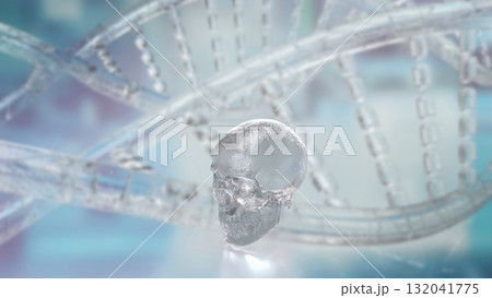 The Skull for Education or Sci concept 3d Rendering. The Skull for Education or Sci concept 3d Rendering. 132041775
