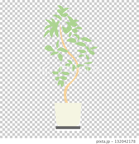 イラスト素材: ナチュラルな曲線の観葉植物の鉢植え イラスト素材: ナチュラルな曲線の観葉植物の鉢植え 132042178