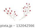 赤い実のイラスト　水彩風 132042566