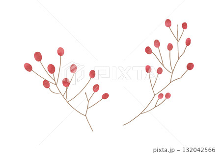 赤い実のイラスト 水彩風 赤い実のイラスト 水彩風 132042566
