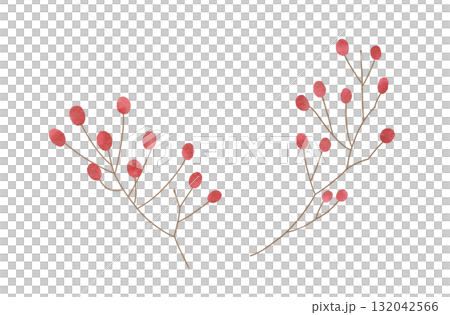 Red berry illustration watercolor style 132042566