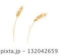 麦の穂のイラスト　水彩風 132042659