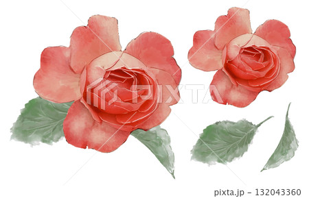 水彩で描いた赤い薔薇のイラスト素材セット 水彩で描いた赤い薔薇のイラスト素材セット 132043360