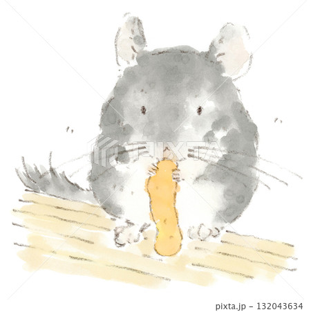 柿の皮を食べるチンチラの水彩画イラスト 132043634