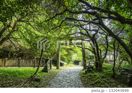 日向 大御神社 鵜戸神社(龍宮) 鳥居 宮崎県日向市 日向 大御神社 鵜戸神社(龍宮) 鳥居 宮崎県日向市 132043699