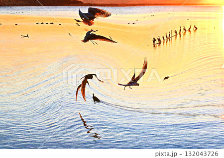 水鳥の戯れる霞ケ浦の初日の出 水鳥の戯れる霞ケ浦の初日の出 132043726
