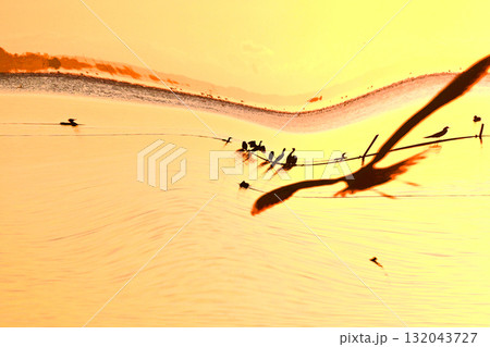 水鳥の戯れる霞ケ浦の初日の出 132043727
