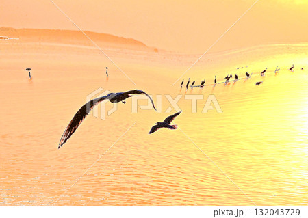水鳥の戯れる霞ケ浦の初日の出 132043729
