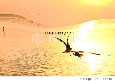 水鳥の戯れる霞ケ浦の初日の出 132043730