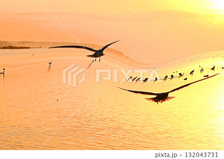 水鳥の戯れる霞ケ浦の初日の出 132043731
