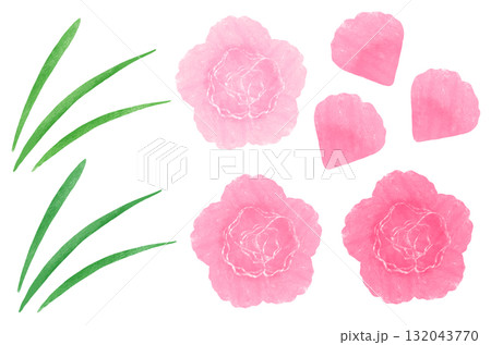 ナデシコ 132043770