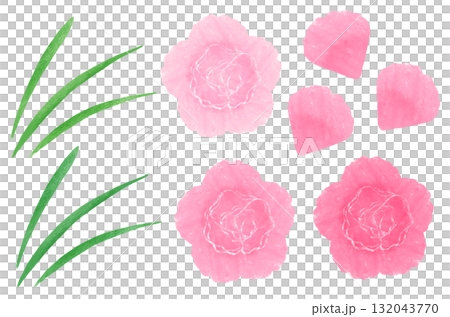 ナデシコ 132043770