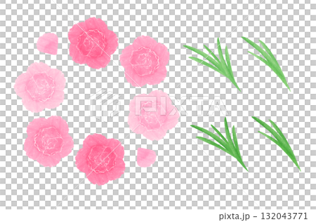 ナデシコ 132043771