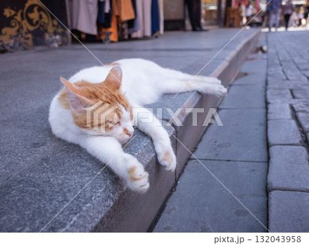 【トルコ】イスタンブール市街の歩道の縁に寝そべる野良猫 132043958