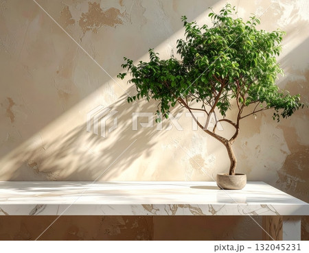 A single potted green houseplant decorates a bright interior room near a window A single potted green houseplant decorates a bright interior room near a window 132045231
