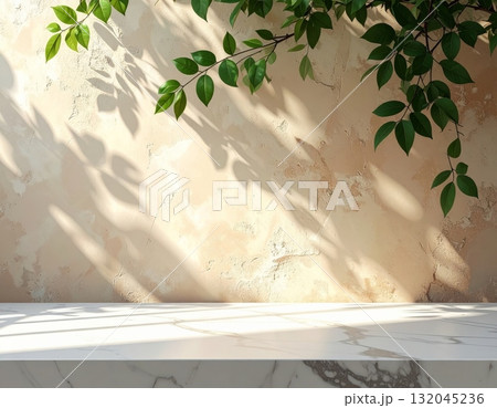 A single potted green houseplant decorates a bright interior room near a window 132045236