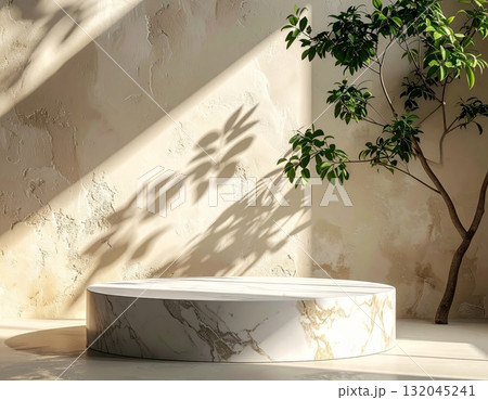 A single potted green houseplant decorates a bright interior room near a window 132045241