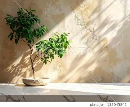 A single potted green houseplant decorates a bright interior room near a window 132045242
