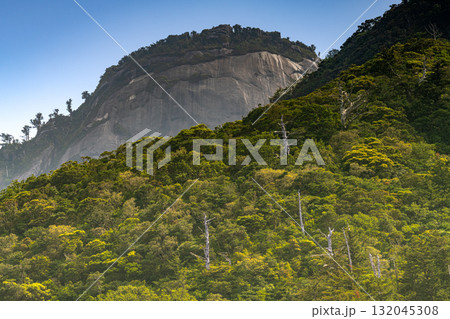 青空と新緑　西部林道地域　世界自然遺産屋久島 132045308